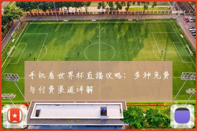 手机看世界杯直播攻略：多种免费与付费渠道详解