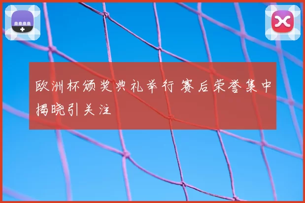 欧洲杯颁奖典礼举行 赛后荣誉集中揭晓引关注