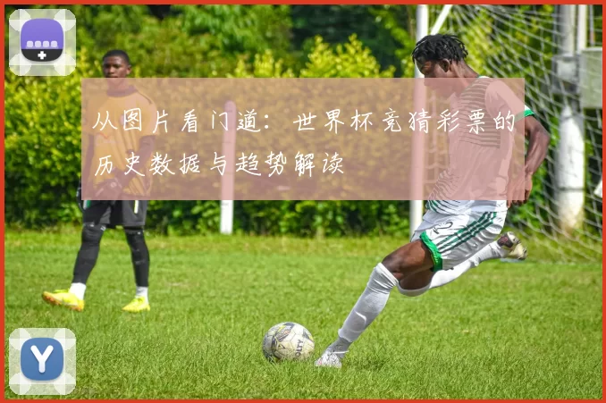 从图片看门道：世界杯竞猜彩票的历史数据与趋势解读
