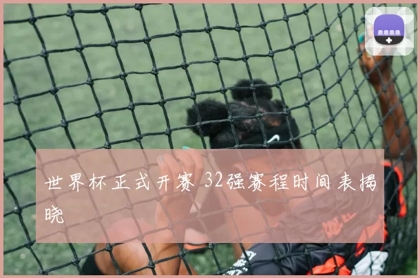世界杯正式开赛 32强赛程时间表揭晓