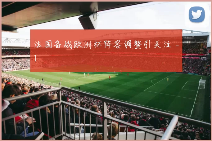 法国备战欧洲杯阵容调整引关注 _1