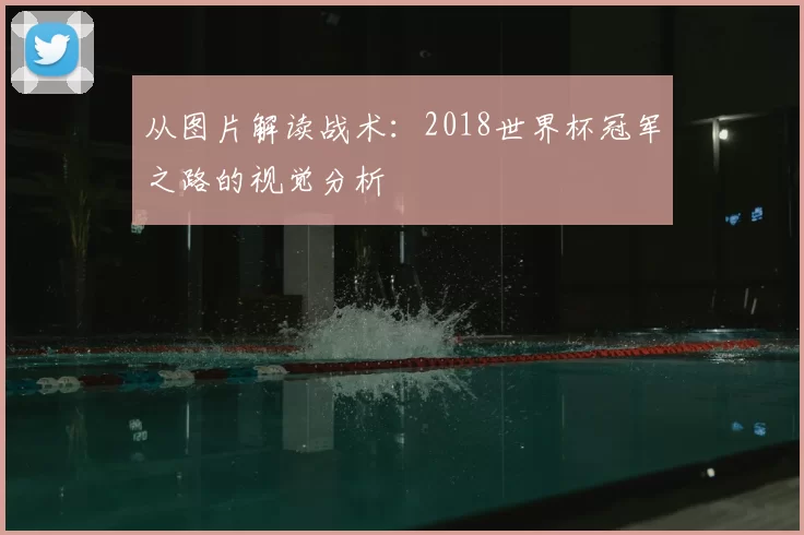 从图片解读战术：2018世界杯冠军之路的视觉分析