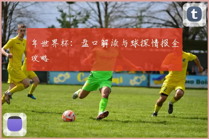 年世界杯：盘口解读与球探情报全攻略