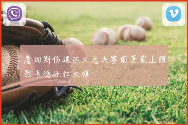 詹姆斯伤退热火总决赛前景蒙上阴影韦德独扛大旗