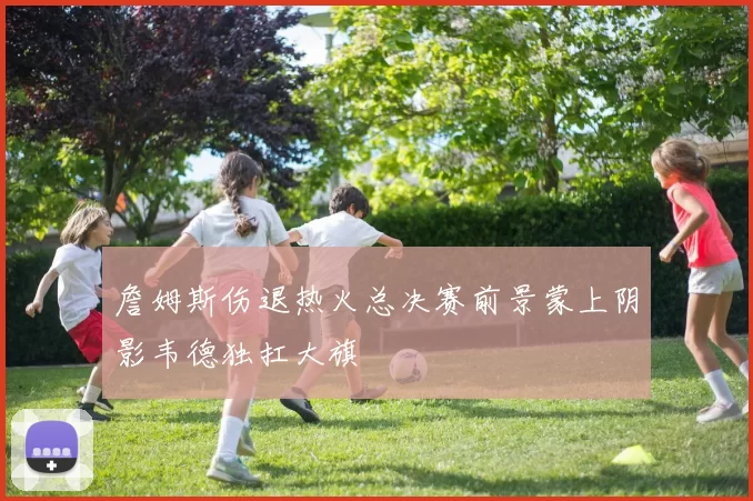 詹姆斯伤退热火总决赛前景蒙上阴影韦德独扛大旗