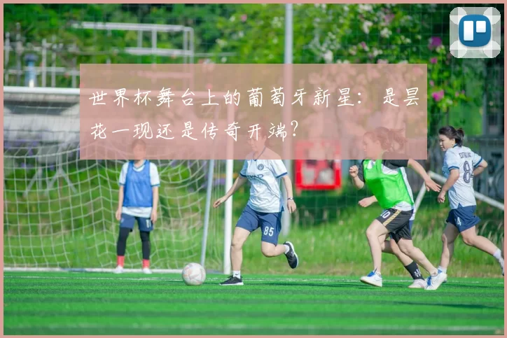 世界杯舞台上的葡萄牙新星:是昙花一现还是传奇开端?