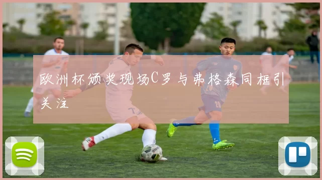 欧洲杯颁奖现场C罗与弗格森同框引关注